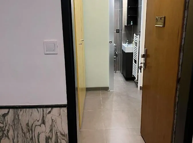 Studio Apartment In Center Brno